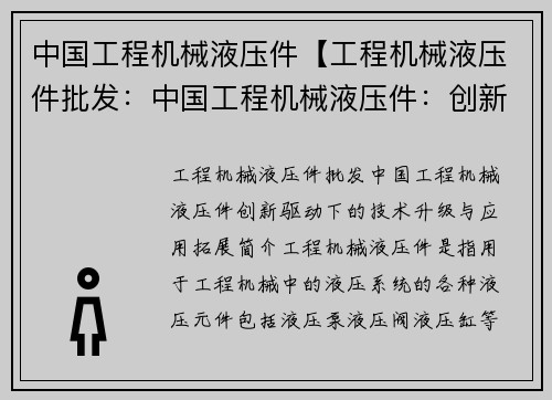 中国工程机械液压件【工程机械液压件批发：中国工程机械液压件：创新驱动下的技术升级与应用拓展】